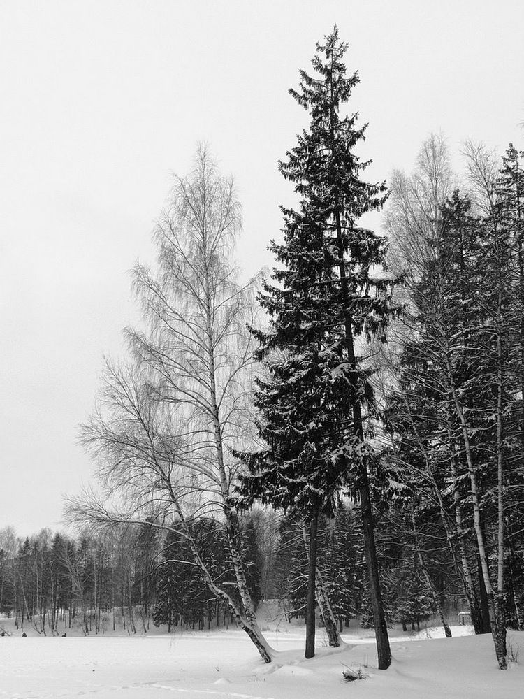 Photograph by Игорь Меньшенин