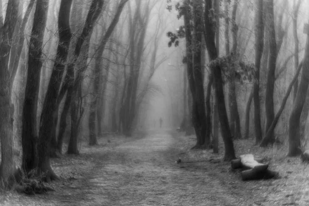 Photograph by Виталий Маслов