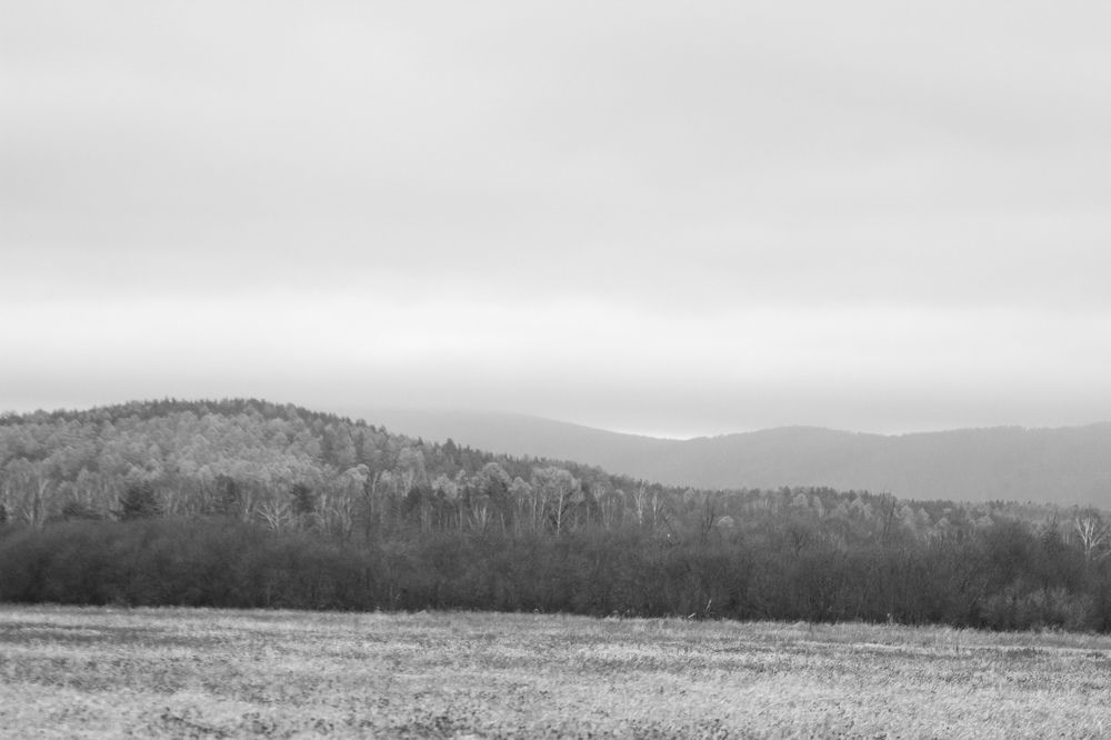 Photograph by Татьяна Овчинникова