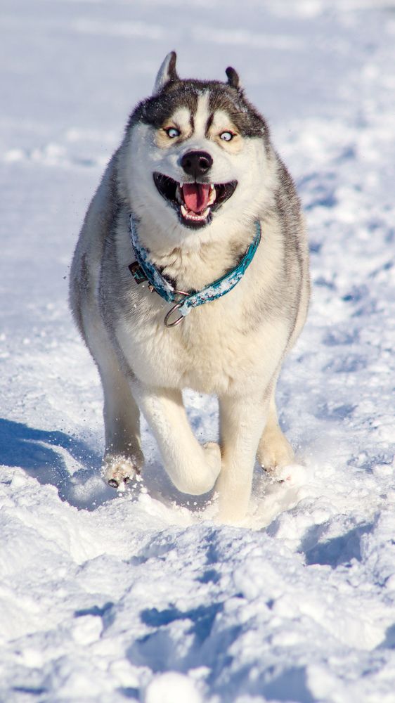 Photograph by Елена Котенко