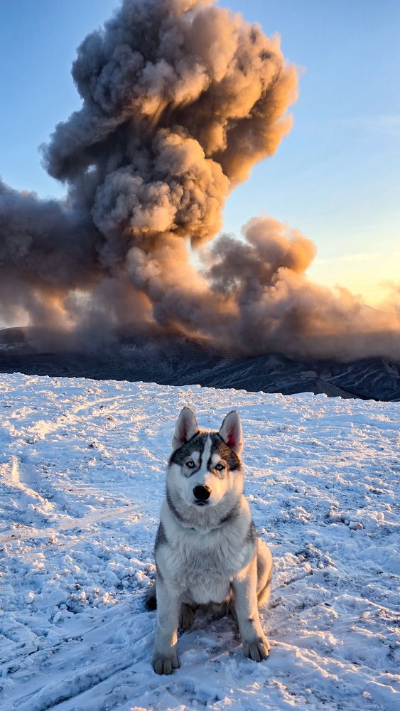 Photograph by Елена Котенко