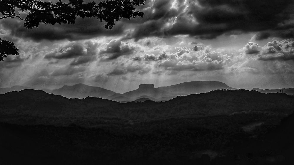 Photograph by M. Maleesha Sathsara Perera