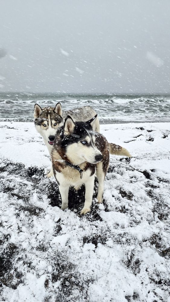 Photograph by Елена Котенко