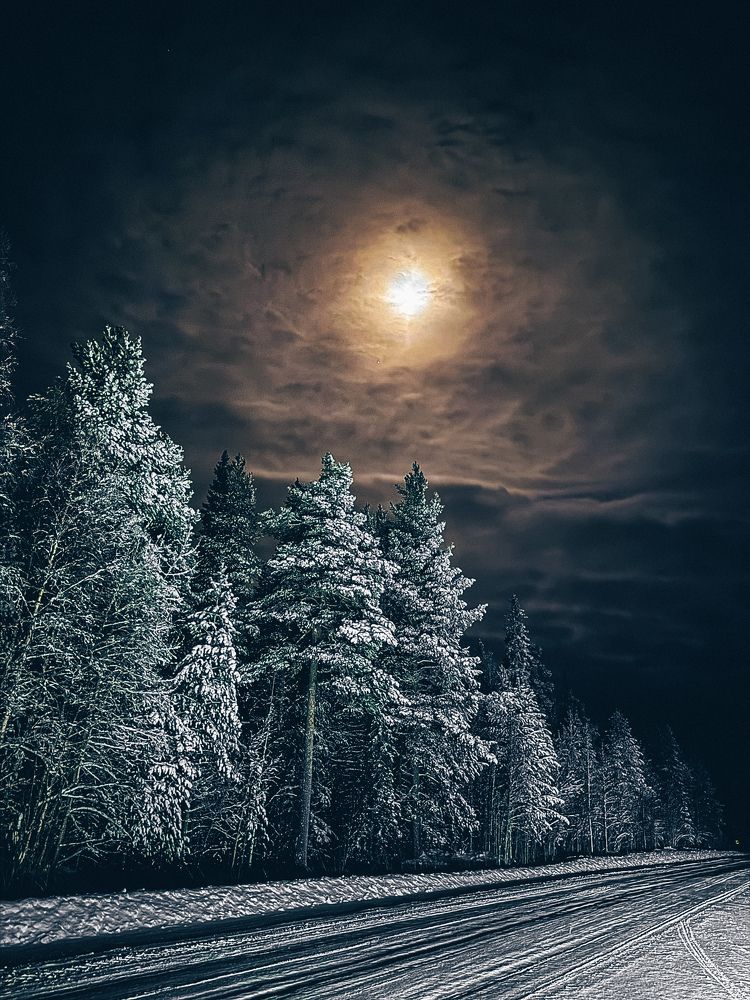 Фотография автора Komarov Svyatoslav