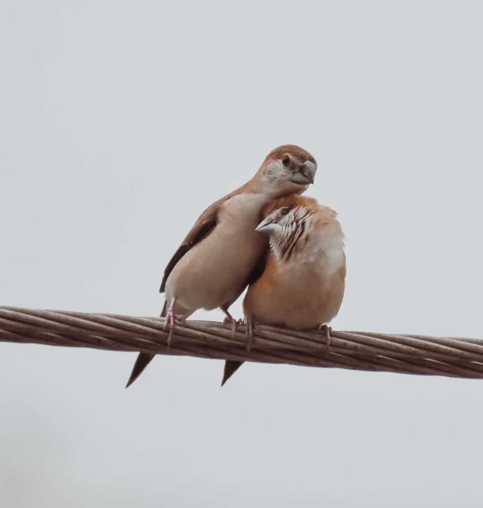 Photograph by AJAY KUMAR