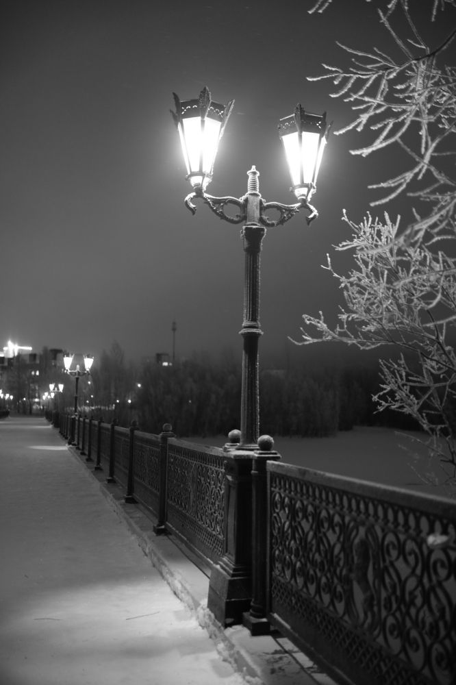 Photograph by Елена Петелина