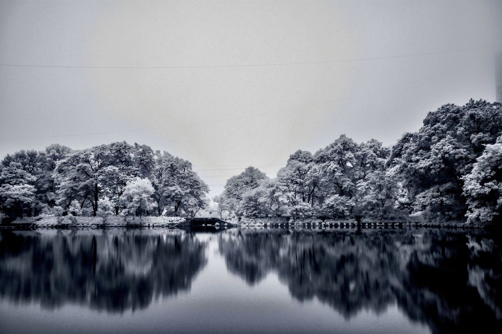 Photograph by Алексей Симонов