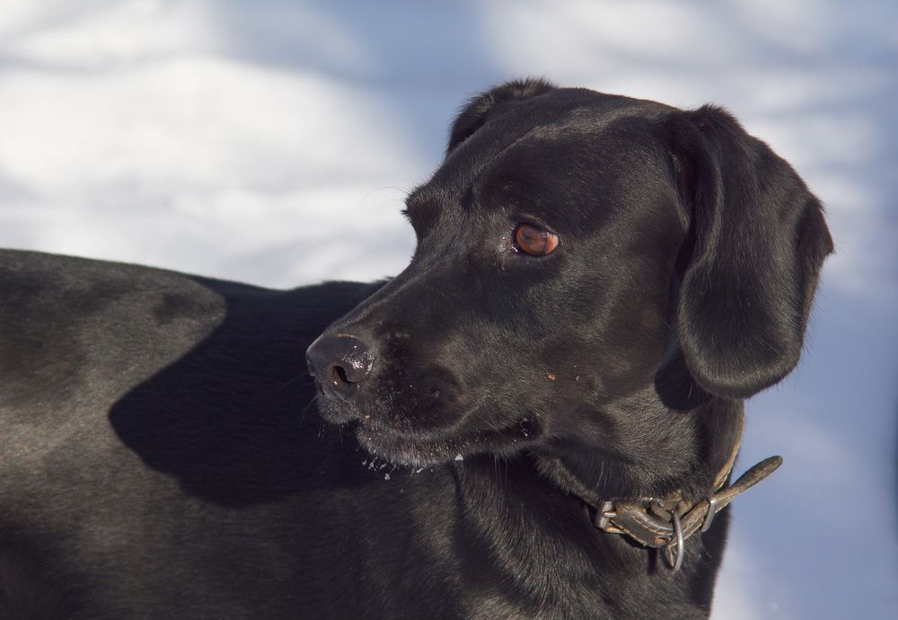 Photograph by Наталья Струц