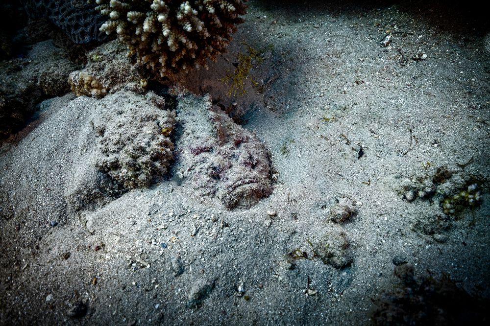 Photograph by Дмитрий Плотников