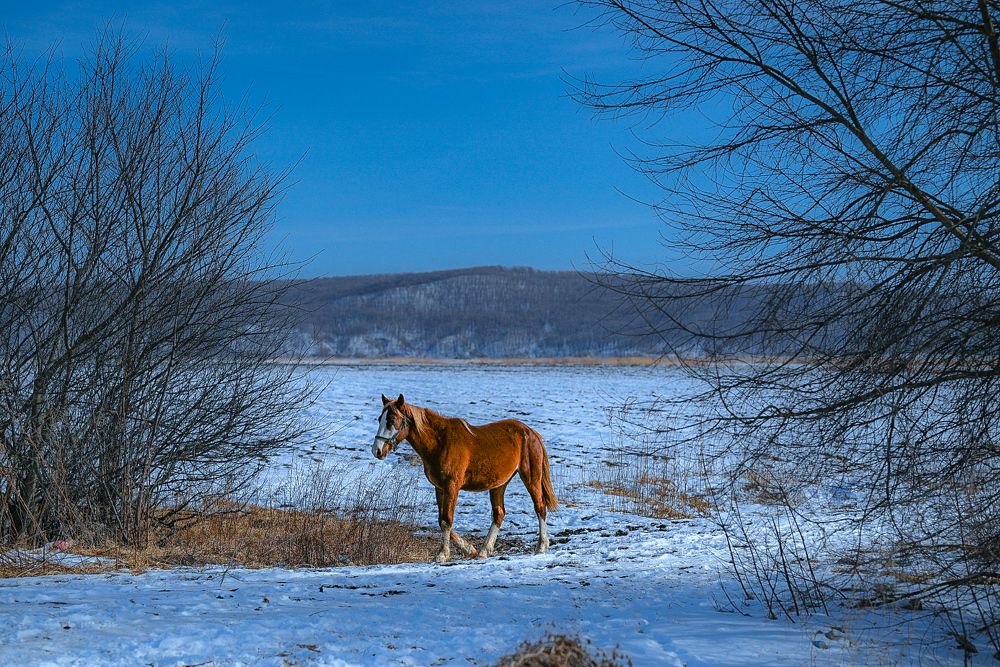 Photograph by Наталья Струц