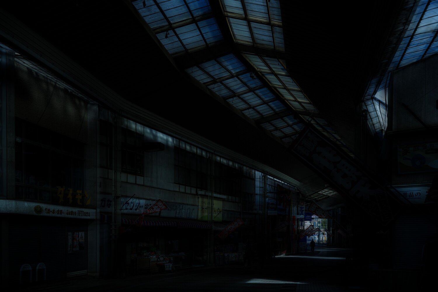 Photo #11630458