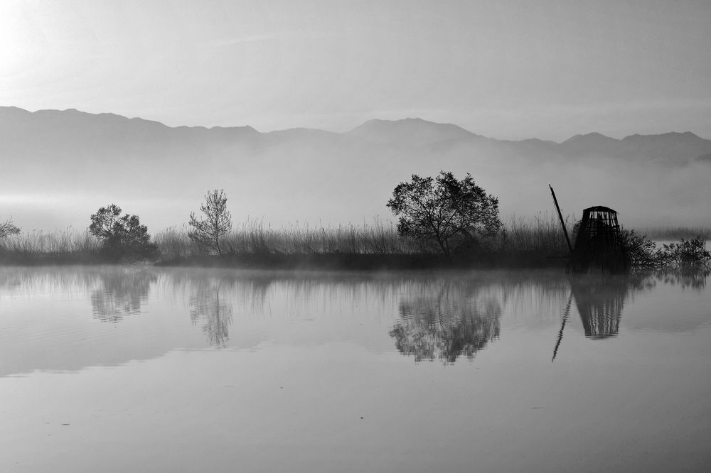 Photograph by Daiyu Moko