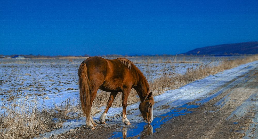 Photograph by Наталья Струц