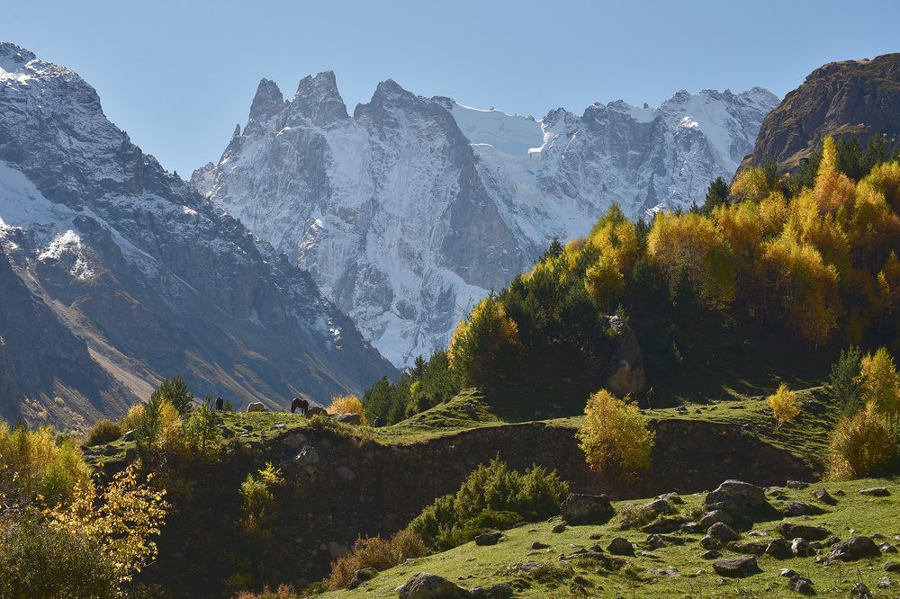 Photograph by Хасан Журтов