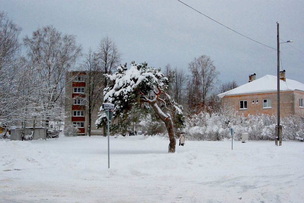 Фотография автора Jevgeni Filimonov