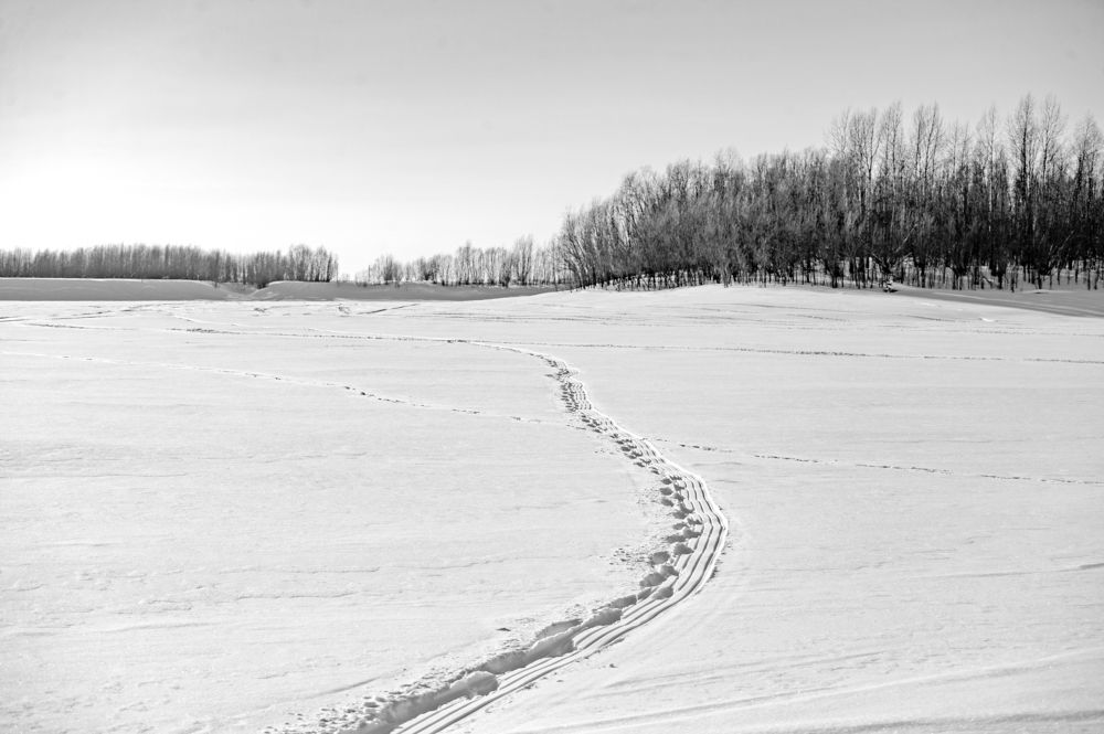 Photograph by Михаил Плецкий