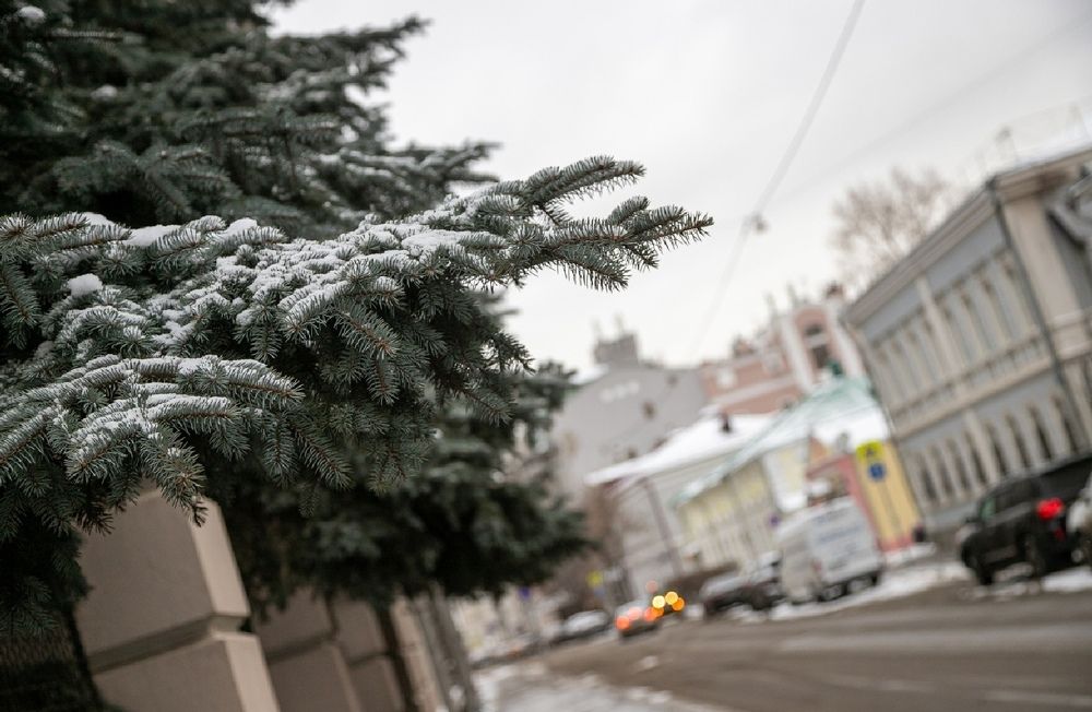 Фотография автора Наволокин Михаил