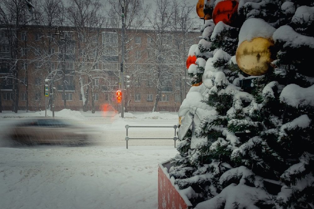 Фотография автора Наволокин Михаил