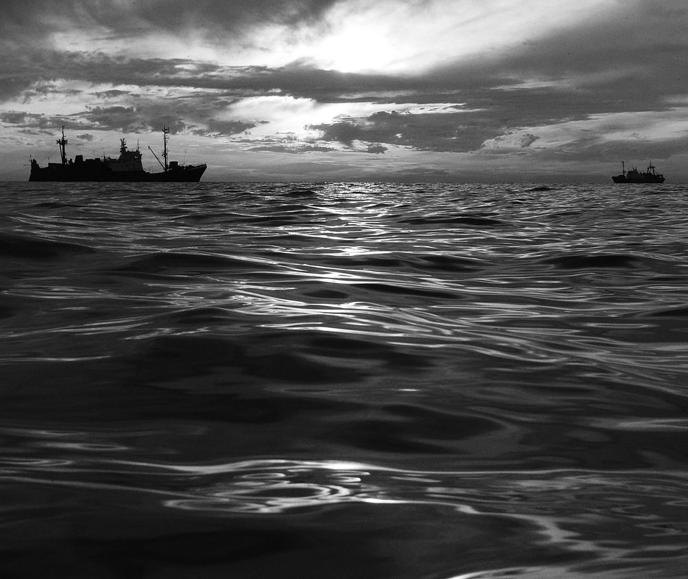 Фотография автора Сергей Гречихин