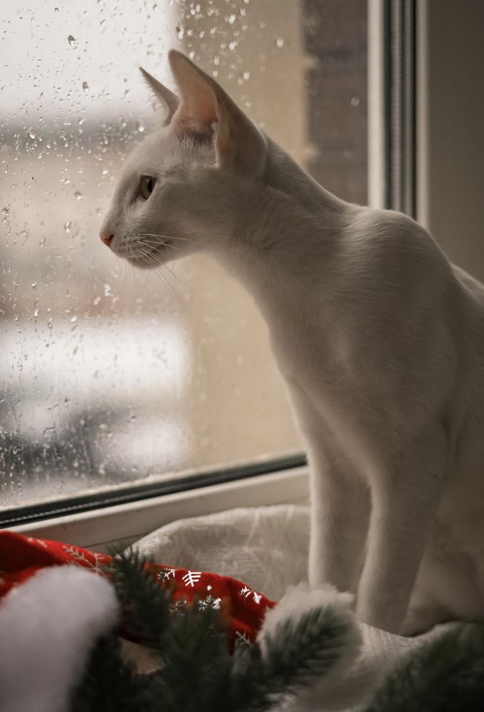 Photograph by Валентина Зуб