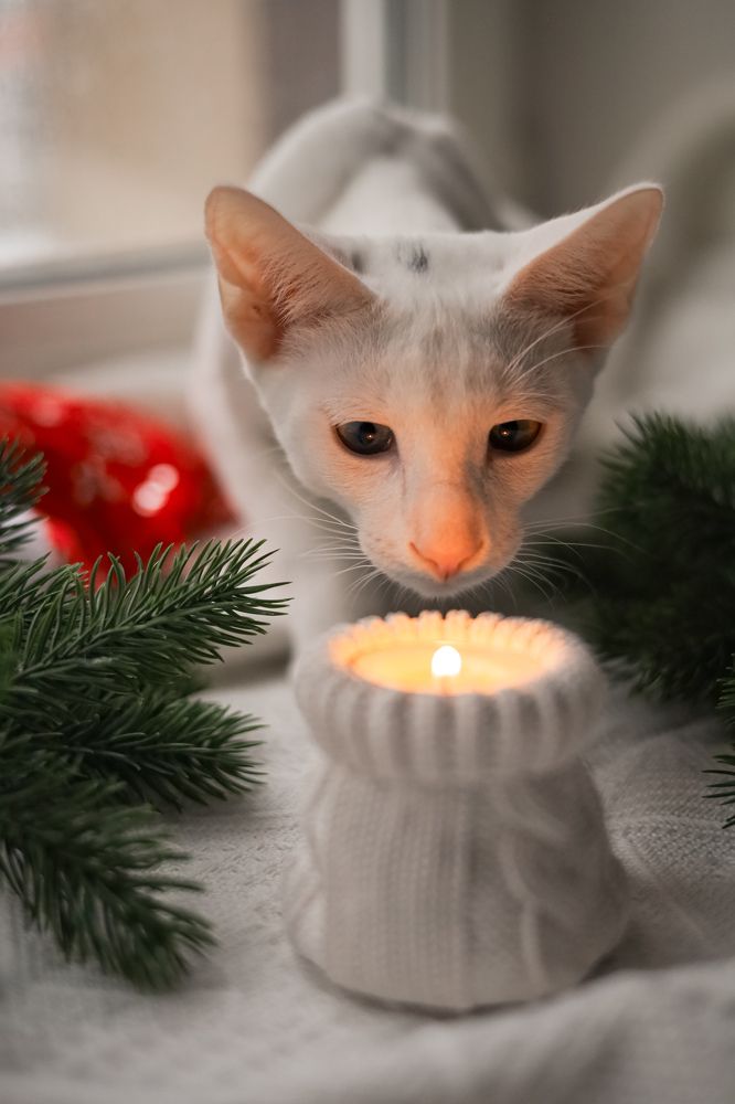 Photograph by Валентина Зуб