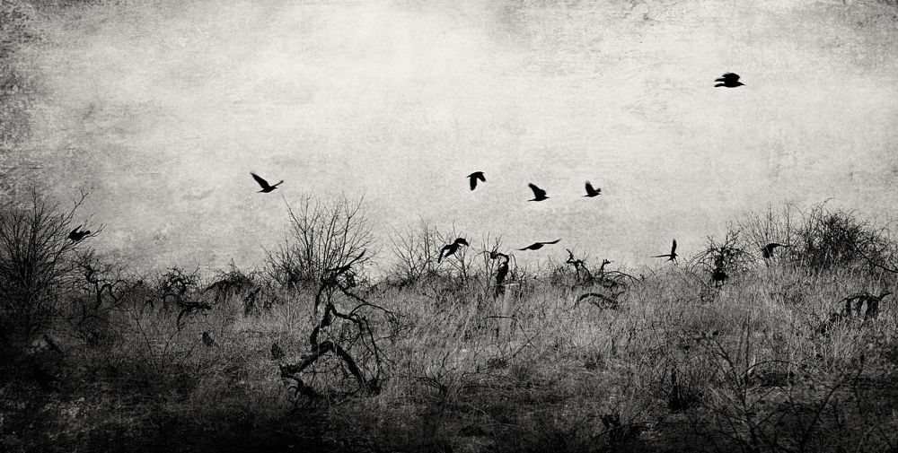 Photograph by Ольга Мальцева