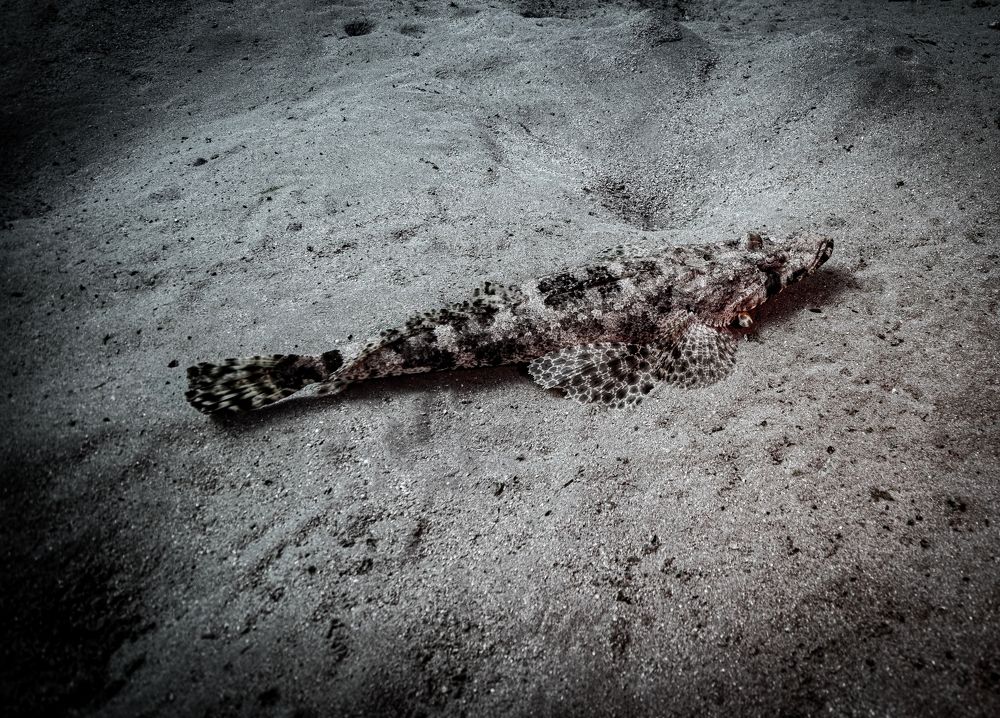 Photograph by Дмитрий Плотников