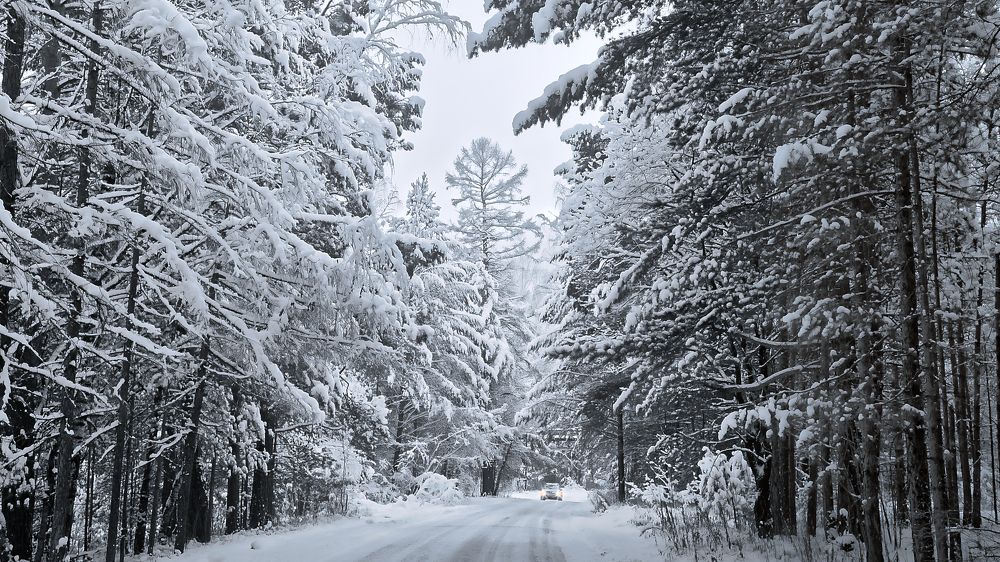 Photograph by Стас Неклюдов