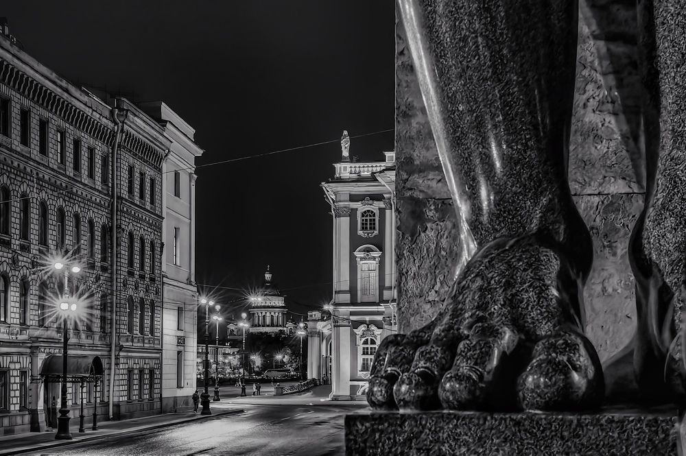 Photograph by Татьяна Бравая