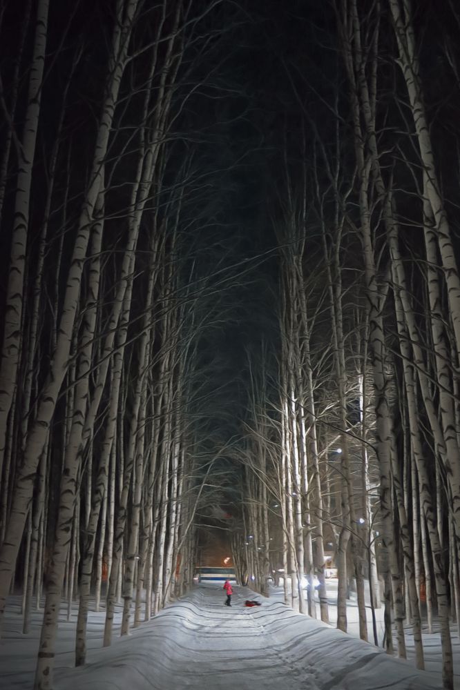 Photograph by Янтарная Елена