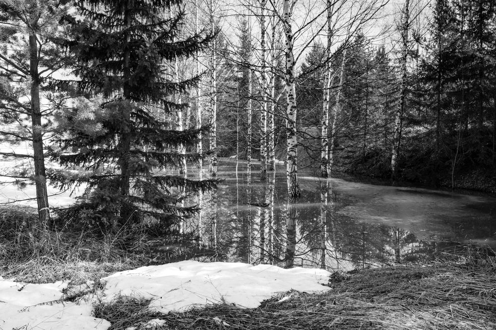 Photograph by Николай Путинцев