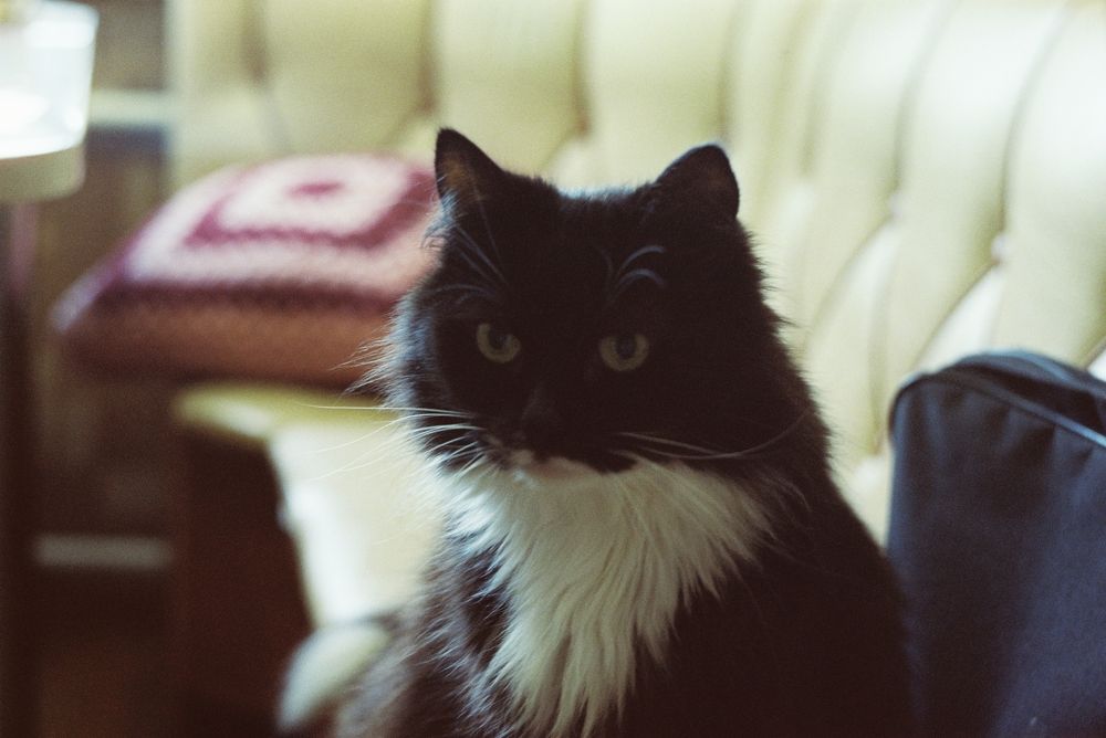 Photograph by Александр Сотниченко