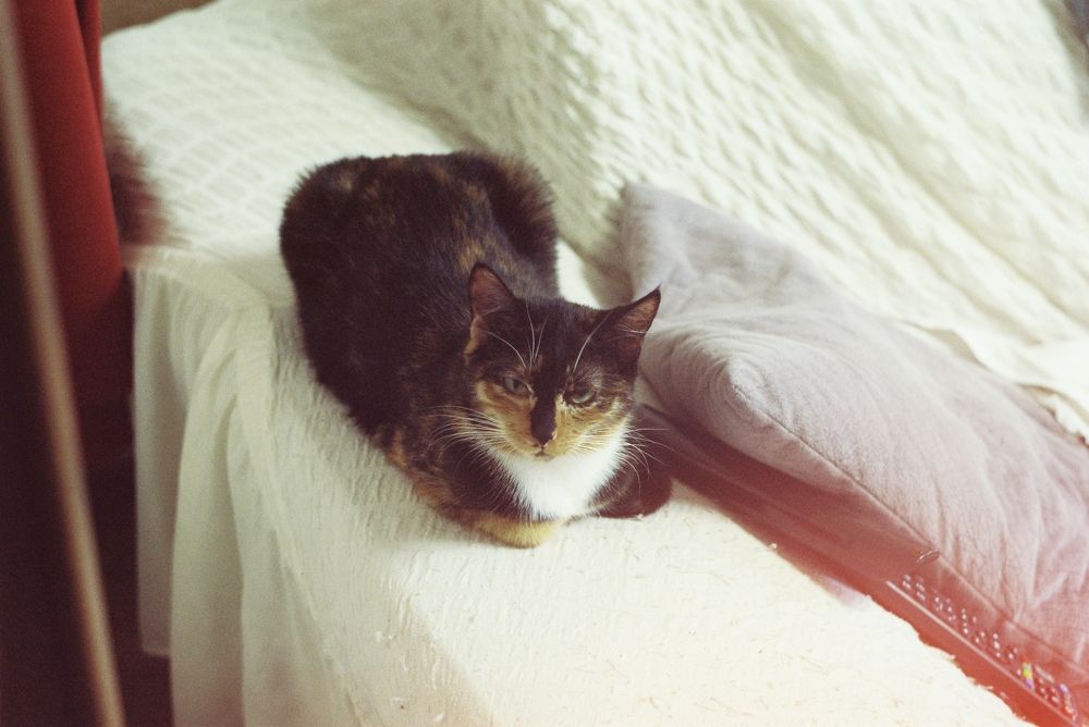 Photograph by Александр Сотниченко