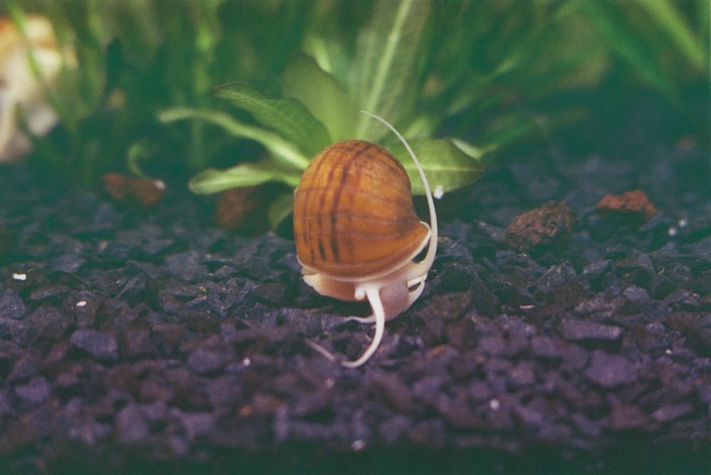 Photograph by Александр Сотниченко