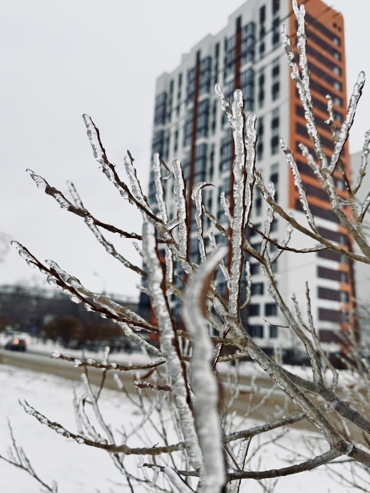 Photograph by Ксения Юртаева