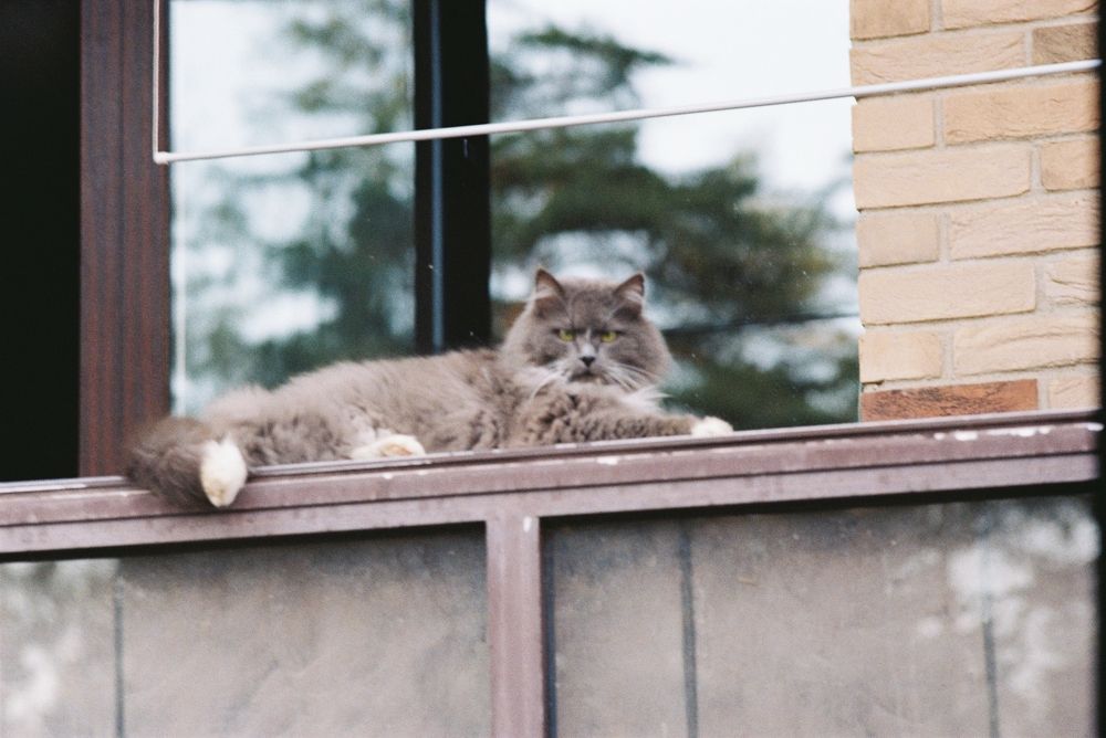 Photograph by Александр Сотниченко