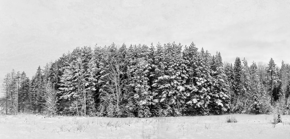 Фотография автора Дмитрий Климов