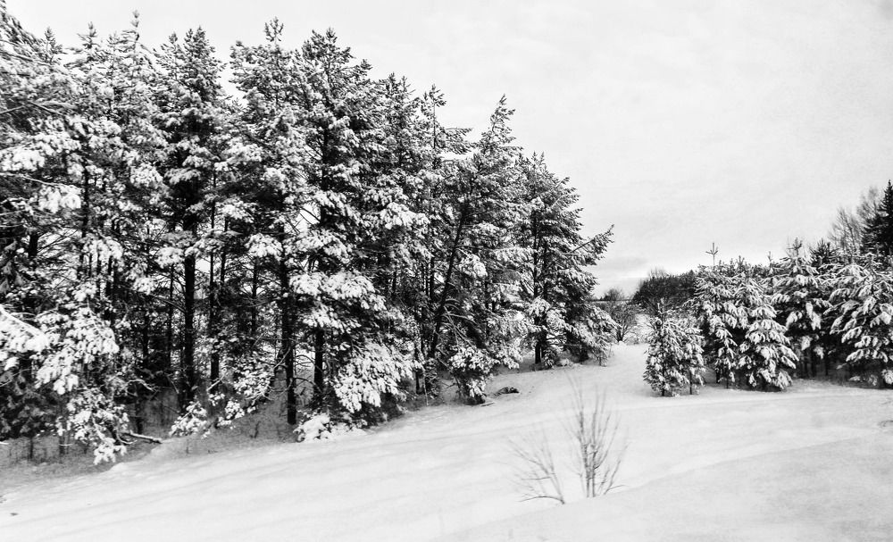 Фотография автора Дмитрий Климов