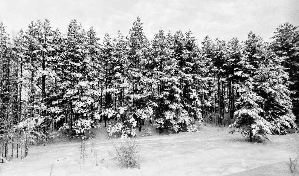 Фотография автора Дмитрий Климов