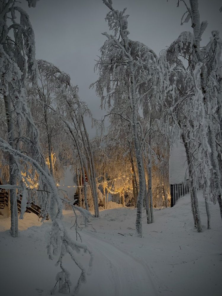 Photograph by Ксения Юртаева