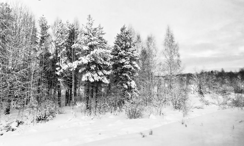 Фотография автора Дмитрий Климов