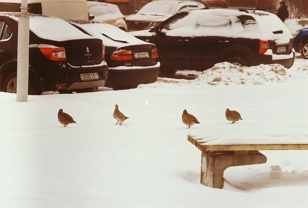 Photograph by Александр Сотниченко