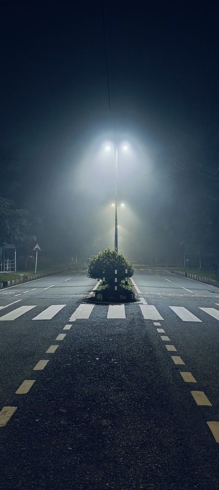 Whispers of the Night: A Foggy Road to Infinity