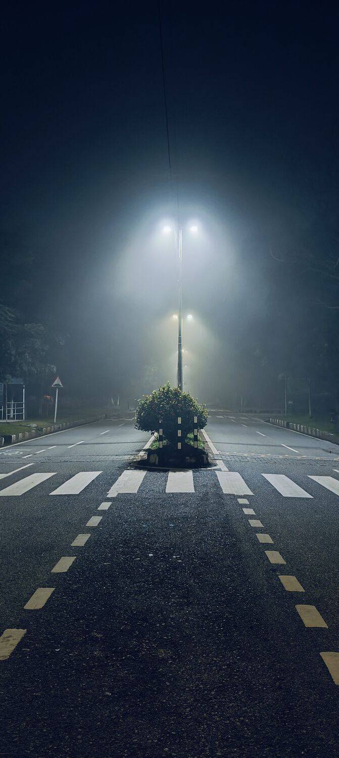 Whispers of the Night: A Foggy Road to Infinity