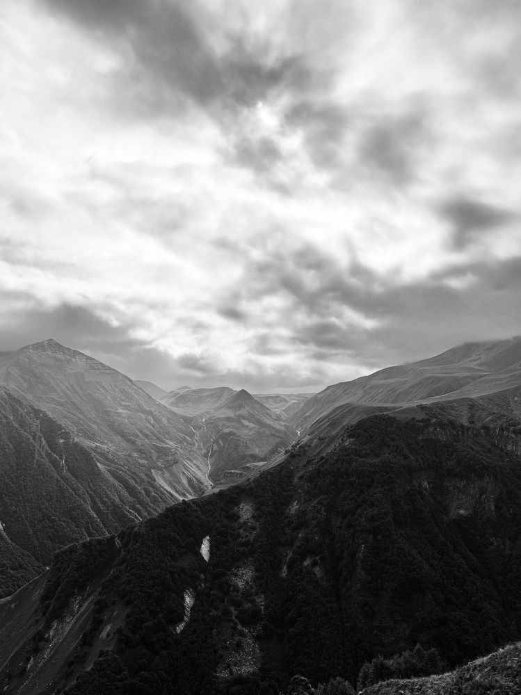 Фотография автора Елена Поживилко