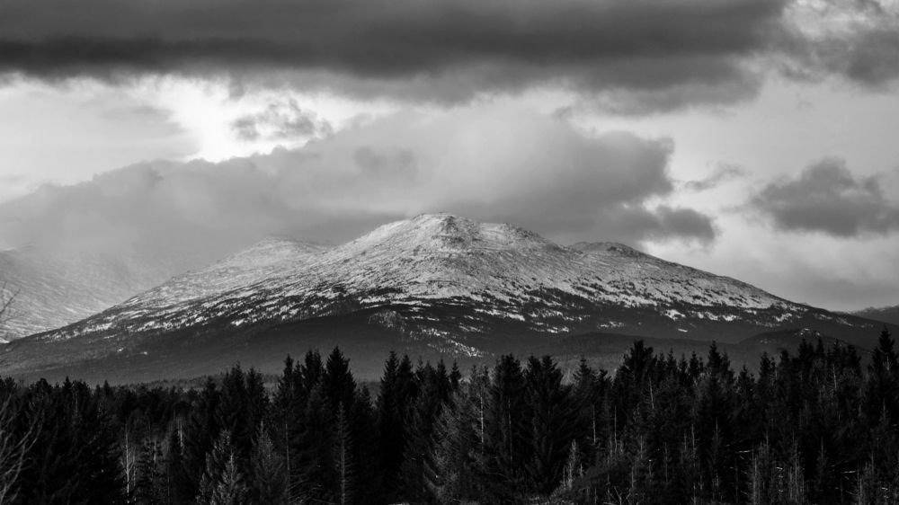 Photograph by Дмитрий Анисимов