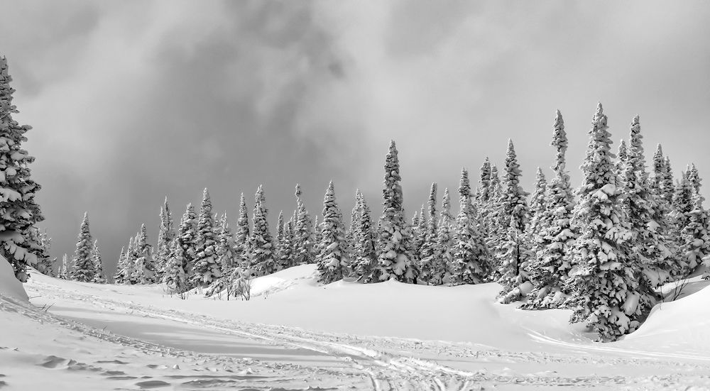 Photograph by Волынский Виктор