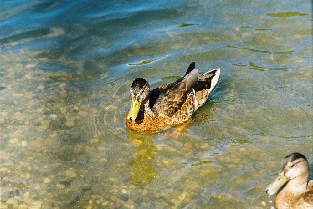 Photograph by Александр Сотниченко
