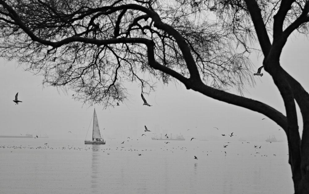 Photograph by Süleyman Ülker