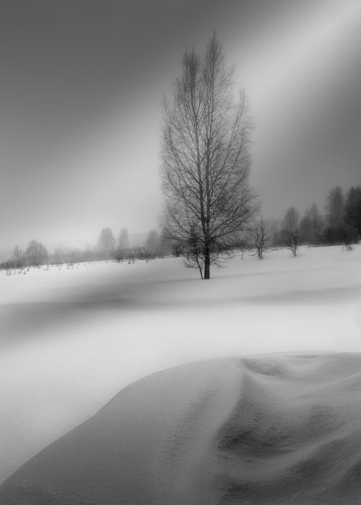 Photograph by Константин Гончаров